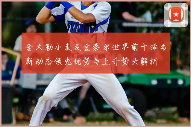 舍夫勒小麦麦金泰尔世界前十排名新动态领先优势与上升势头解析